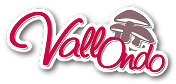 Logo de Encarna Group adquiere Setas Vallondo 